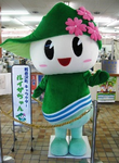 ルイーザチャン.png