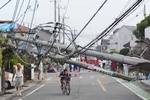 倒れた電柱.jpg