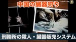 武漢臓器狩.jpg
