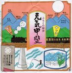 元気甲斐のその後……
